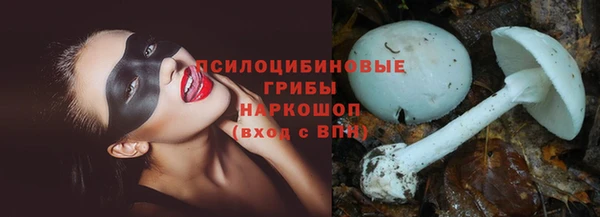 меф Михайловск