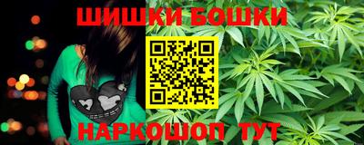 прущие грибы Гатчина
