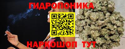 экстази Гай