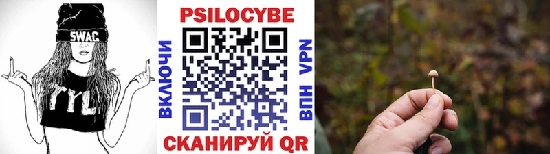 наркошоп  Клинцы  Галлюциногенные грибы MAGIC MUSHROOMS 