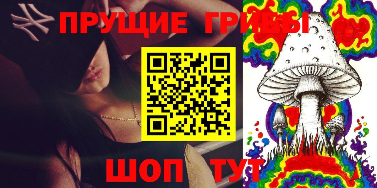 Галлюциногенные грибы прущие грибы  Клинцы  Галлюциногенные грибы Psilocybe 