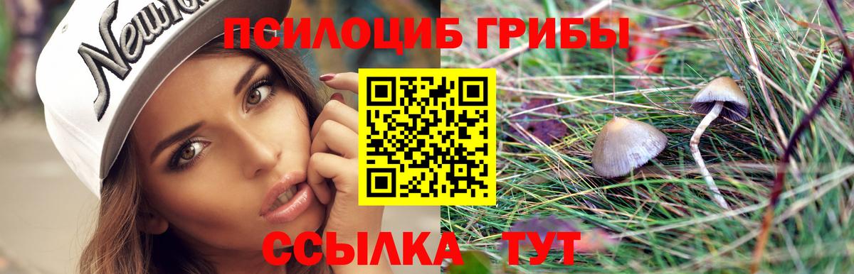 Псилоцибиновые грибы мухоморы  магазин  наркотиков  Клинцы  Галлюциногенные грибы Magic Shrooms  Вход с VPN 