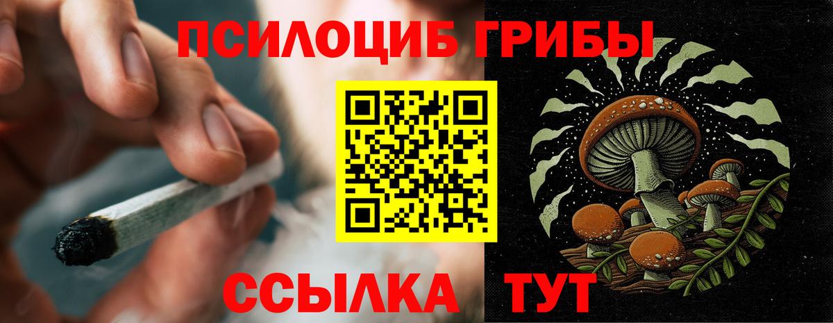 Галлюциногенные грибы GOLDEN TEACHER Клинцы